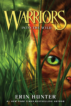 warrior cats book 6 the darkest hour